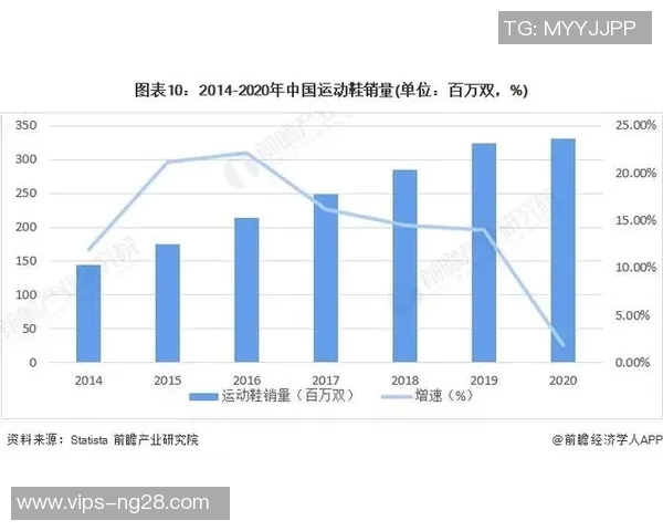 国内外知名体育品牌的市场竞争与发展趋势分析